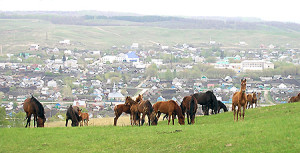 kamishla_panorama