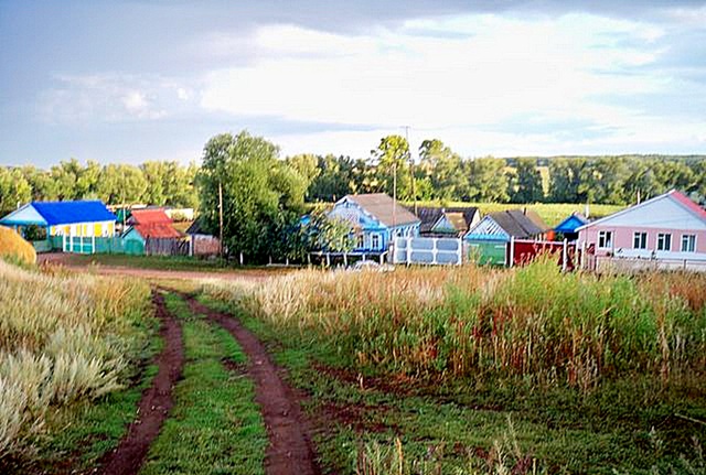 Село Кряжлы, ул. Мечетная, 2010 год