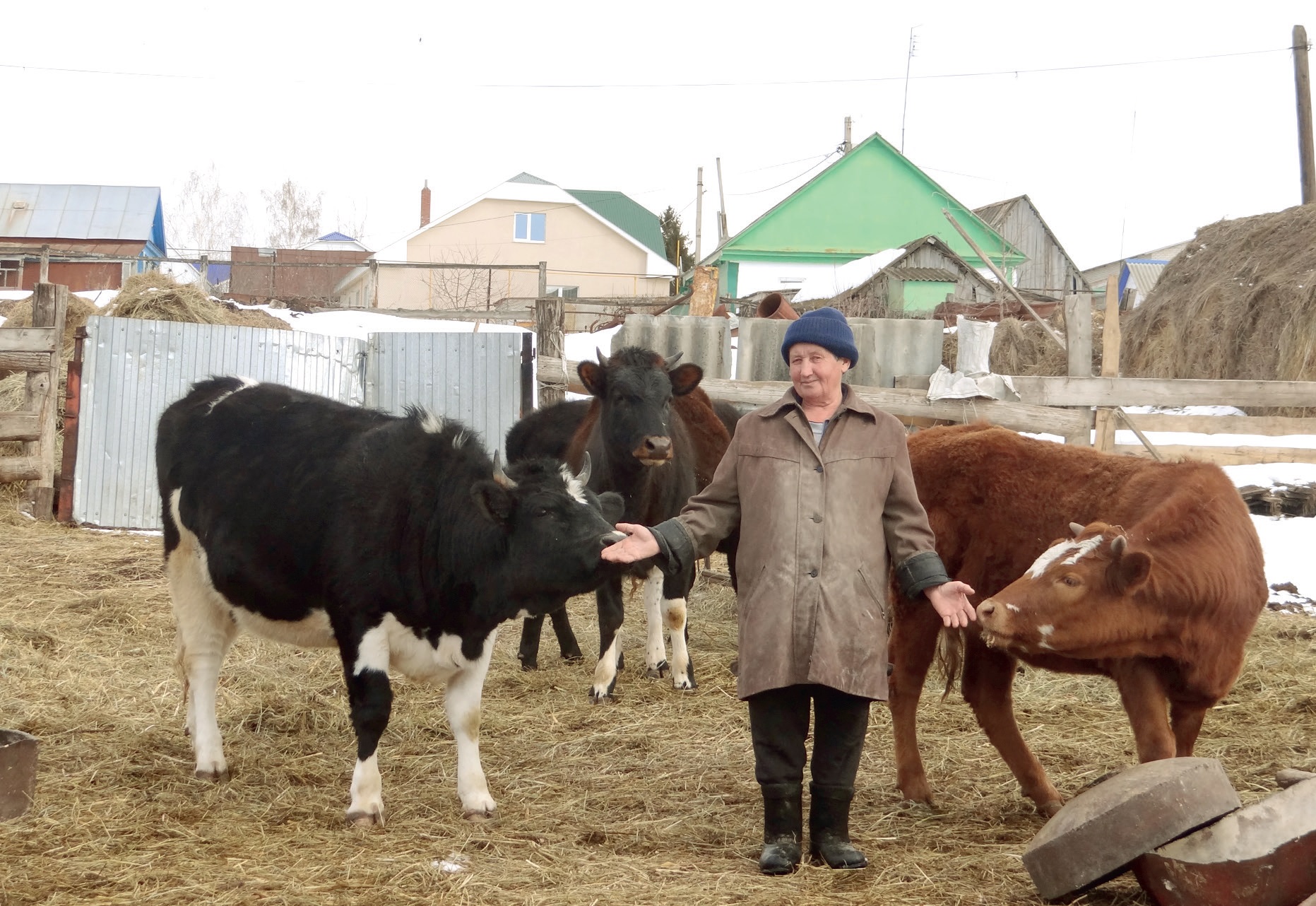 Халисә Шәфикъ кызы Каюмова