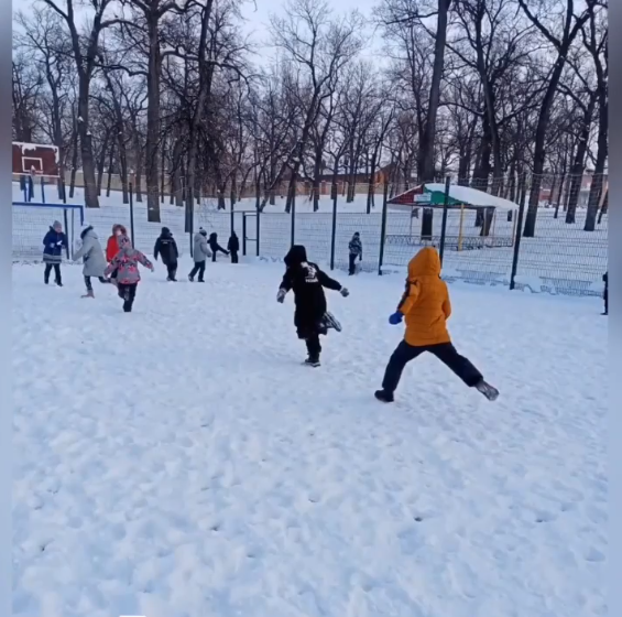 Безымянный1