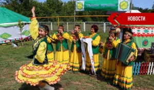 bashkiry