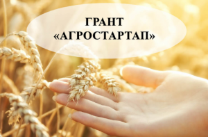 c9k148q41152r6oye2zaxcg9f84k3vvt