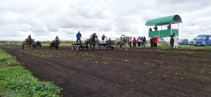 9tEFt7360RSbmG0OcU05g8H5QY51wfawHmxsBWWLb3AXS0zKdU-U-DYkFWxere9eEzZPUV8fy5K5uXTSgaXA2OEv