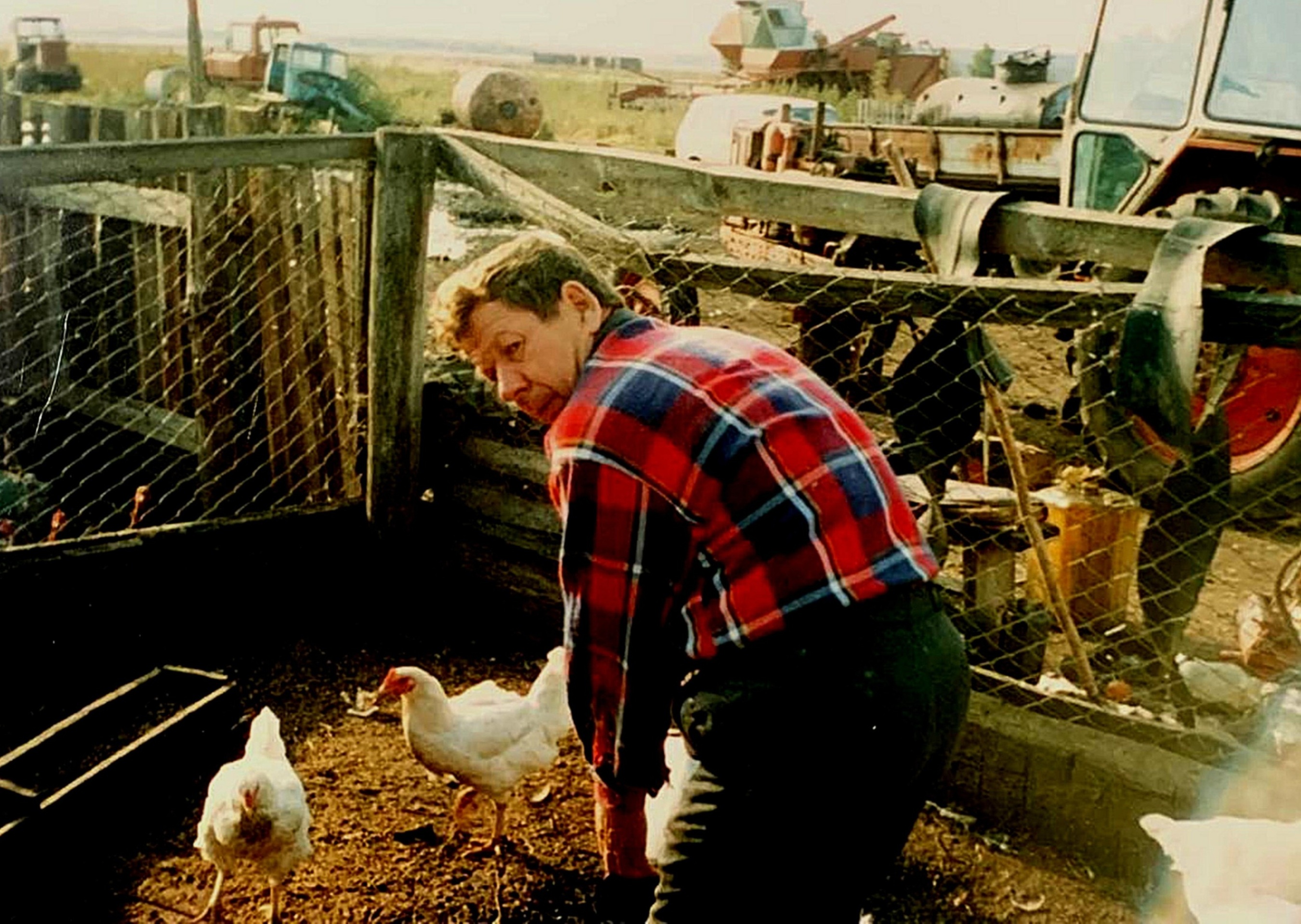 В личном подворье, 1994 год