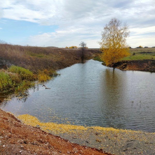 photo_2025-10-15_08-32-17 (2)