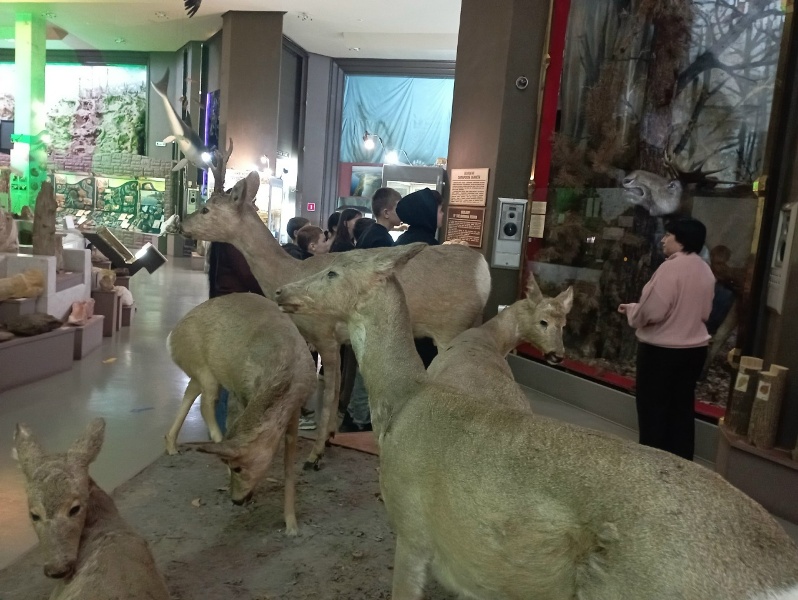 yUlC1io6MJJ142HzL8JxFLEl9blhfvQQZVon8J5qccW_fUel-6o6UVqiDh3WFtcetuQ0snoJzj29f1RCFOEIvgar