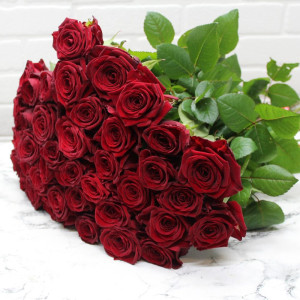 d558700d2e7f2e14851eb2544e1e07ae