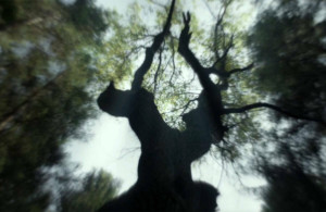 334cfb9e37f770fbcaa473f6532af696