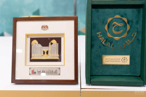 © Salavat Kamaletdinov