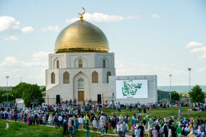 bce36804b575868e1cd59c32fe231d49