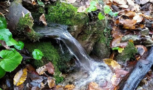 s2w0znKpKIW5q3BX0zR11ZqhgqL-khkKAcy9y4daLo5L1dMl5YkaD7bpRAzy9xxhUfjhRtrhZ0W009gAFbM93XDh